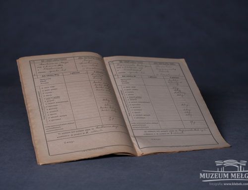 Katalog klasyfikacyjny (Dziennik szkolny) z 1916 r.